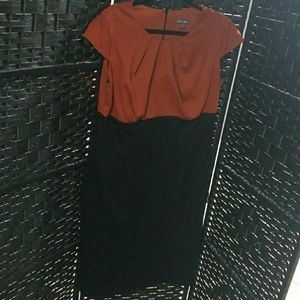 Roz & Ali Burnt orange and black dress 14w